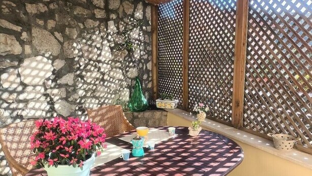 Una mesa redonda con mantel estampado, una planta en maceta y una silla de mimbre.
