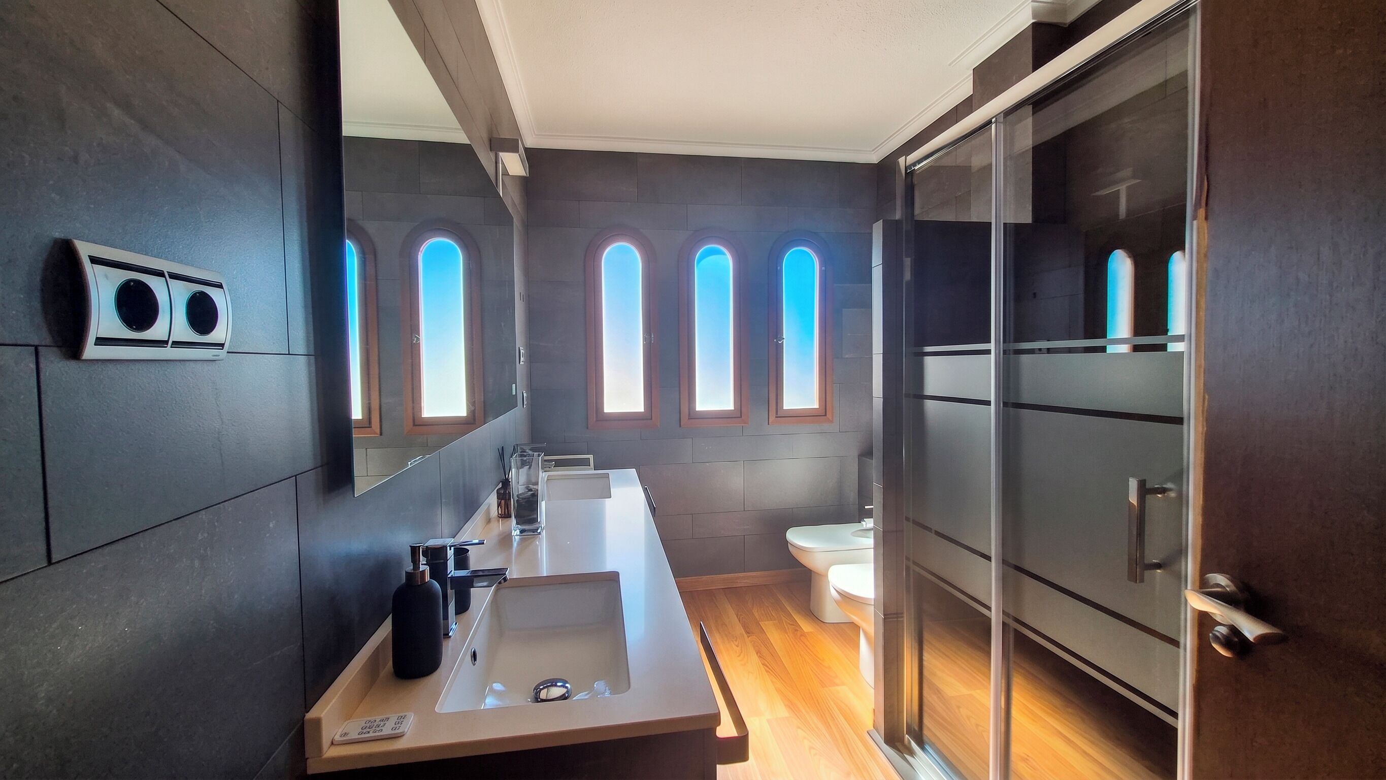 Shower, hair dryer, bidet, towels