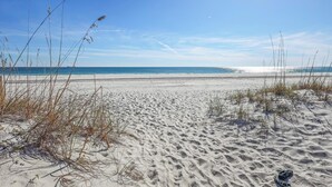 Ein Sandstrand mit spärlicher Vegetation und blauem Himmel.