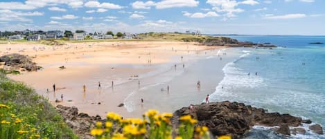 Playa en los alrededores y camastros