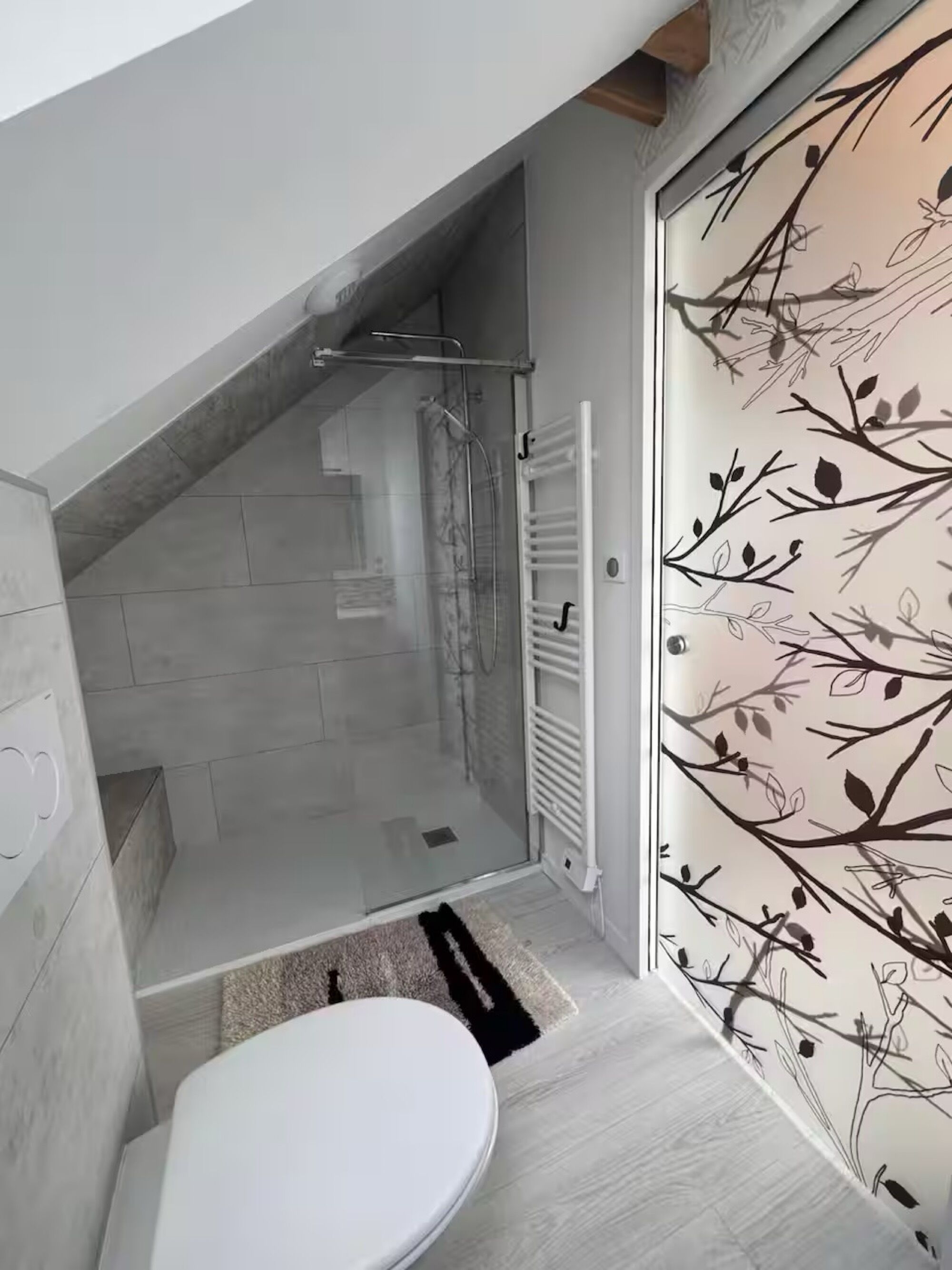 Douche, sèche-cheveux, serviettes fournies, papier toilette