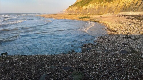 "Entre Terre et Mer" Vacation Rental