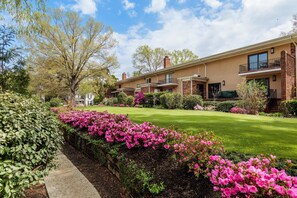 Exterior - Cozy 2BR house, one king and one queen bedroom - fully equipped kitchen, laundry room - fenced backyard opening to pristine courtyard. (Augusta)