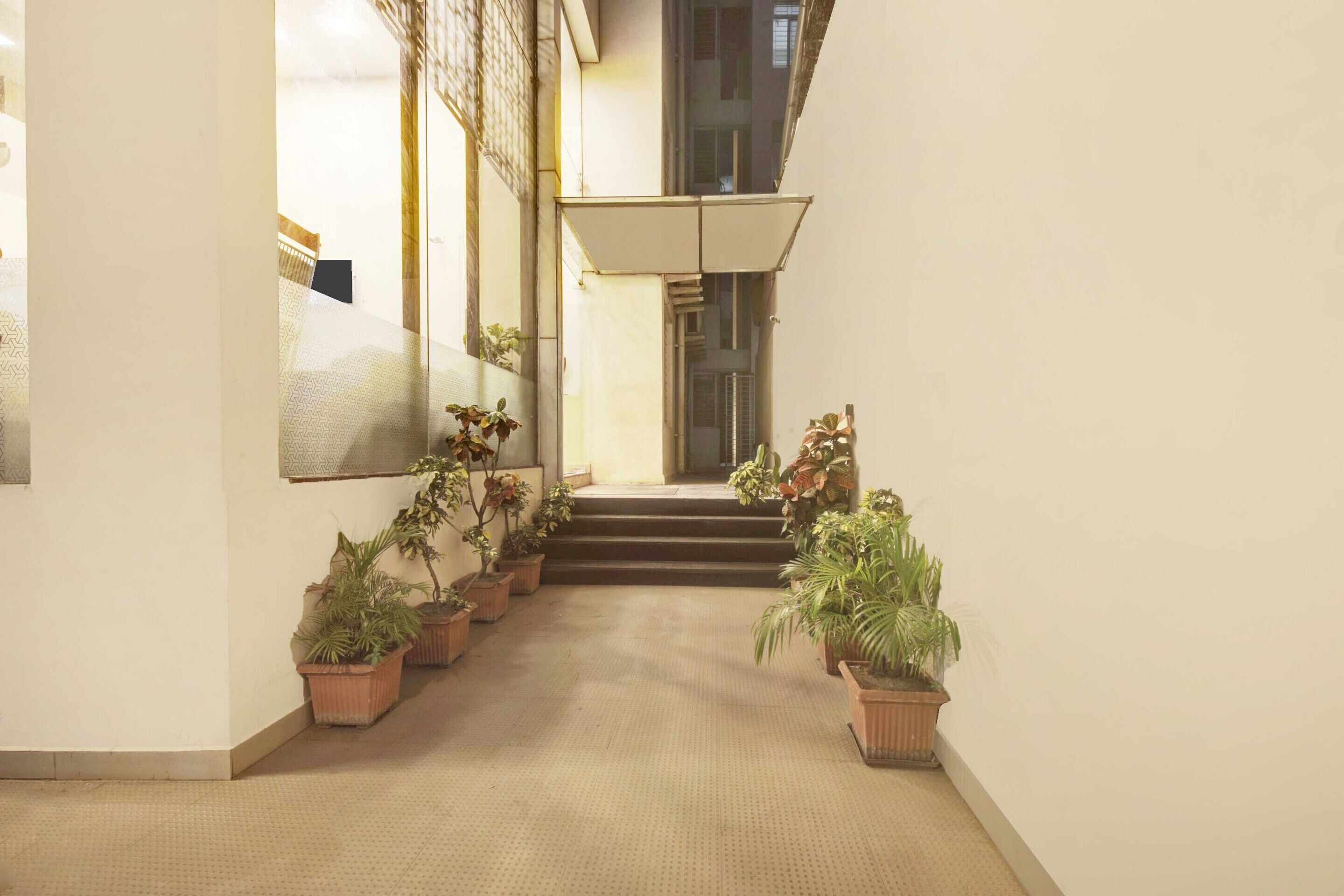 Un pasillo con piso alfombrado, plantas en macetas y una escalera que sube a un nivel superior.