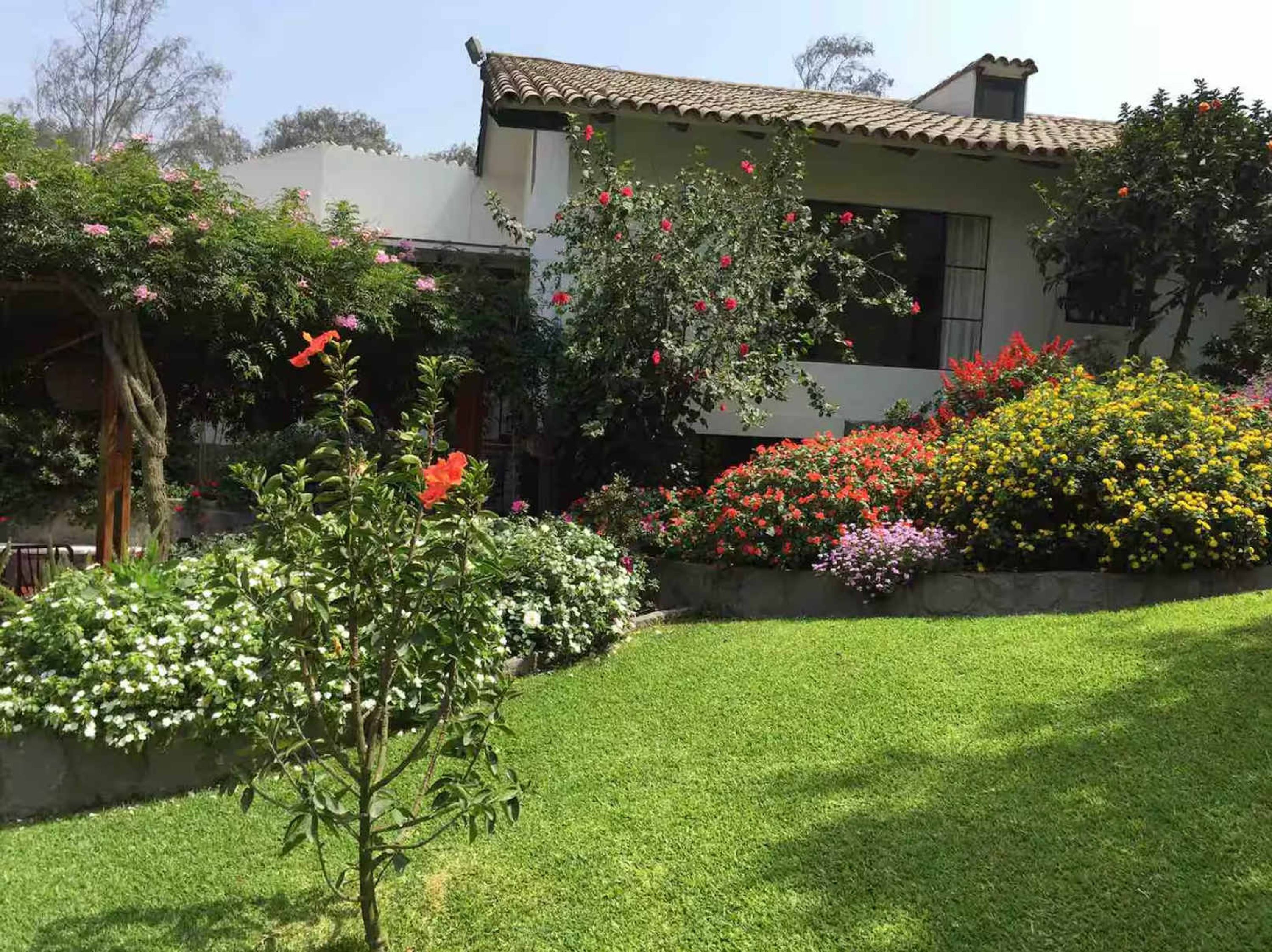 Una casa con jardín, césped y un árbol.
