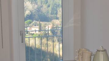 Appartamento, 1 camera da letto, terrazzo | Area soggiorno