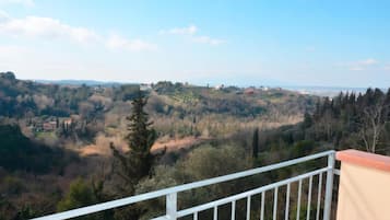 Apartment, 1 Schlafzimmer, Terrasse | Terrasse/Patio
