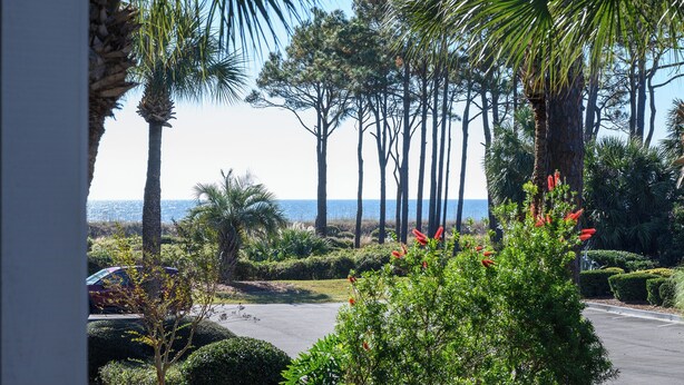 A coastal view with palm trees, a parking area, and a clear sky. - Good Day Sunshine!  Perfect Couples Beach Oasis (Hilton Head Island)