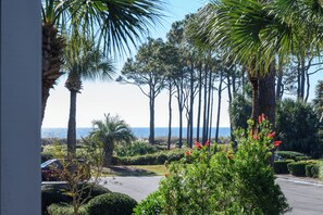 Property grounds - Good Day Sunshine!  Perfect Couples Beach Oasis (Hilton Head Island)