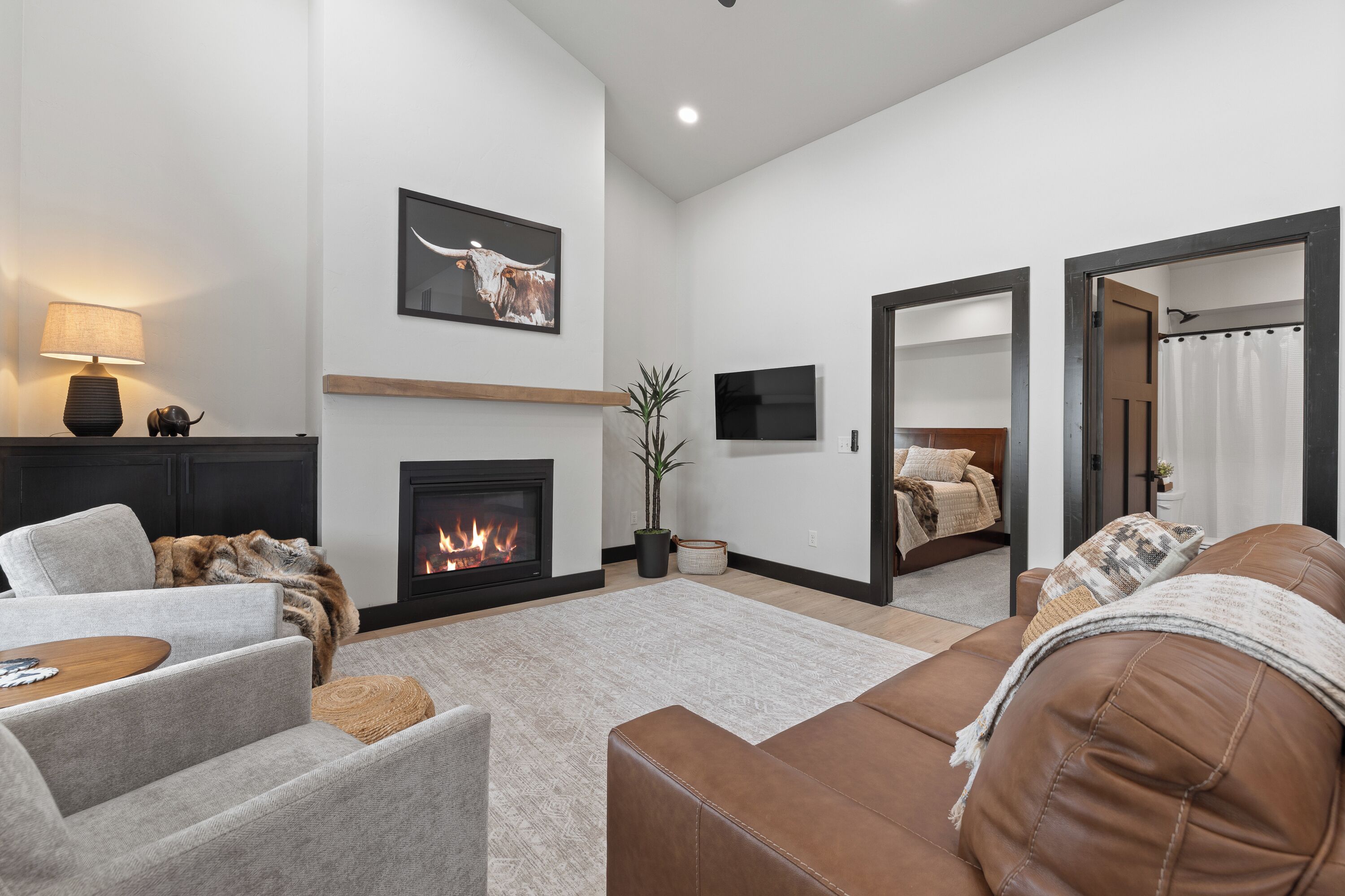 Smart TV, fireplace