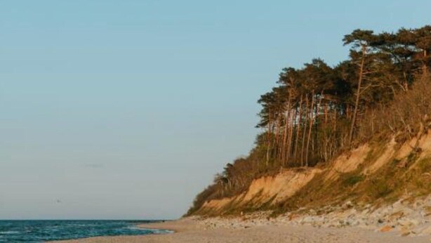 A beach with a sandy shore, a forested cliff, and the ocean in the background. - Comfortable House With a Terrace, Sauna, Jacuzzi (Rewal)