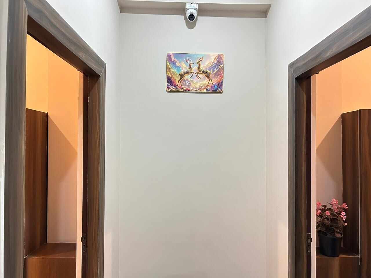A hallway with a security camera, a painting, and a potted plant.