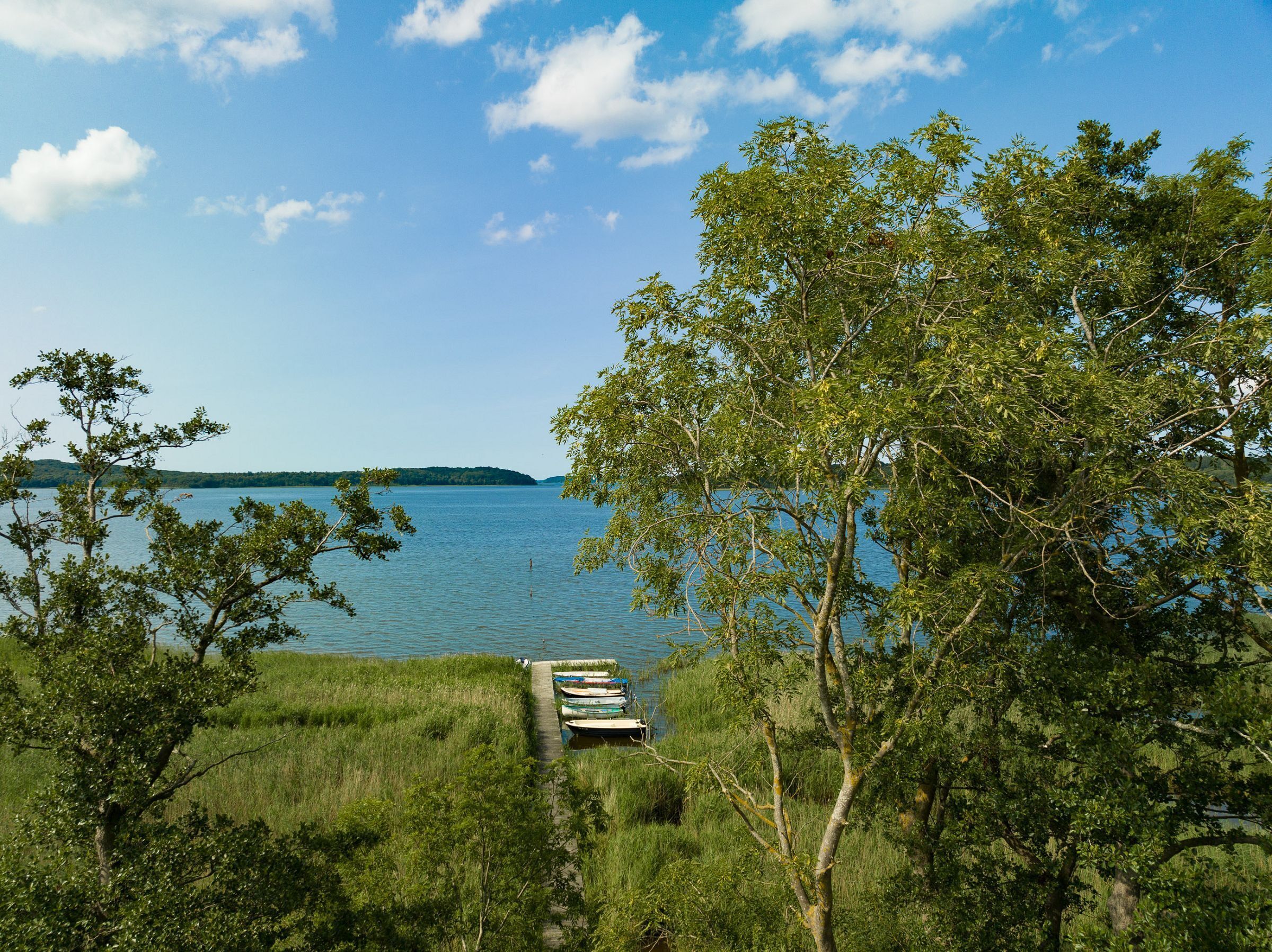 A dock with boats, a grassy area, and a lake with a distant island.