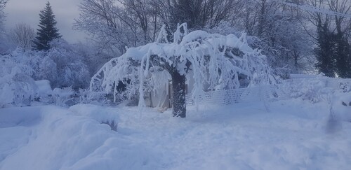 appartement entouré d'animaux de la ferme en montagne