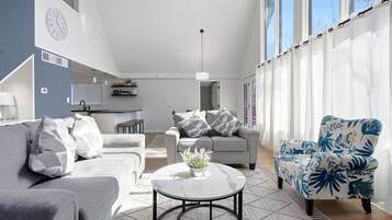 Smart TV, fireplace, books
