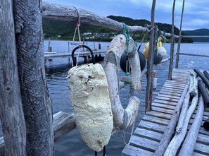 Miscellaneous - There’s A Whole Coastline That Doesn’t  Know You - Yet! (Hermitage)