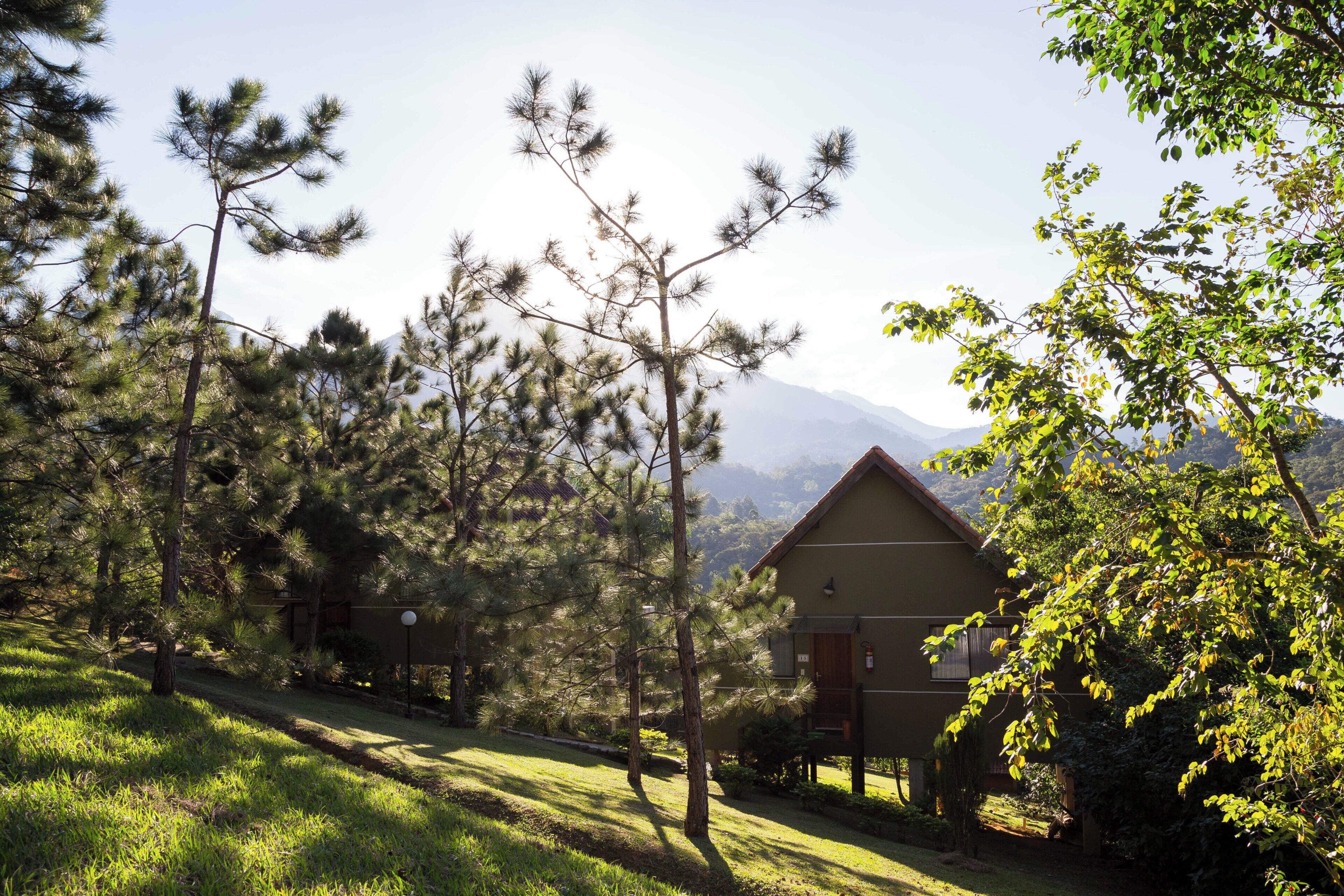 Uma pousada com montanhas ao fundo, rodeada por pinheiros e um gramado bem cuidado.