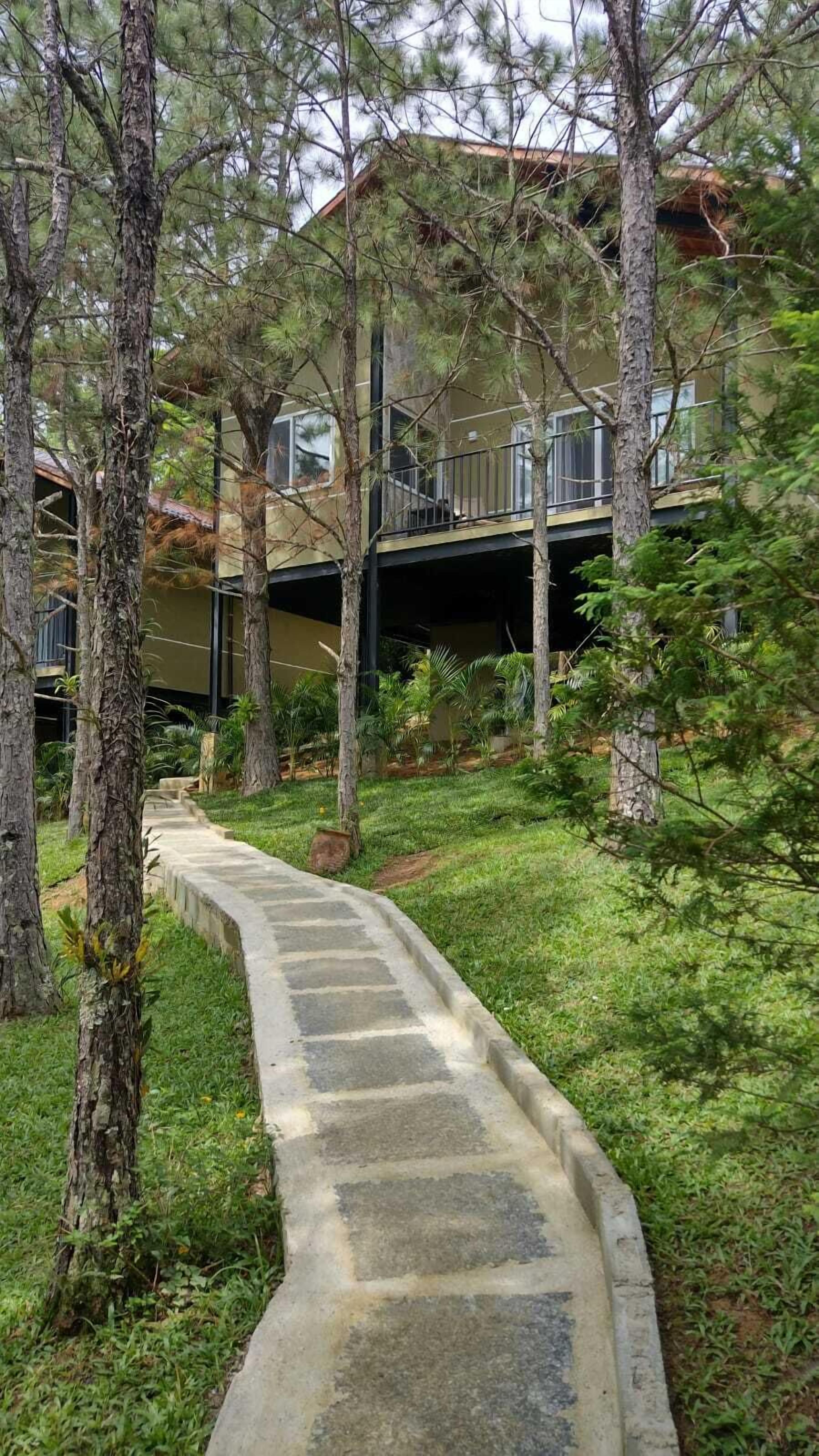 A pathway leading to a building surrounded by trees.