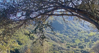 Mountain Retreat Japanese Tea House + Private Creek and Trails