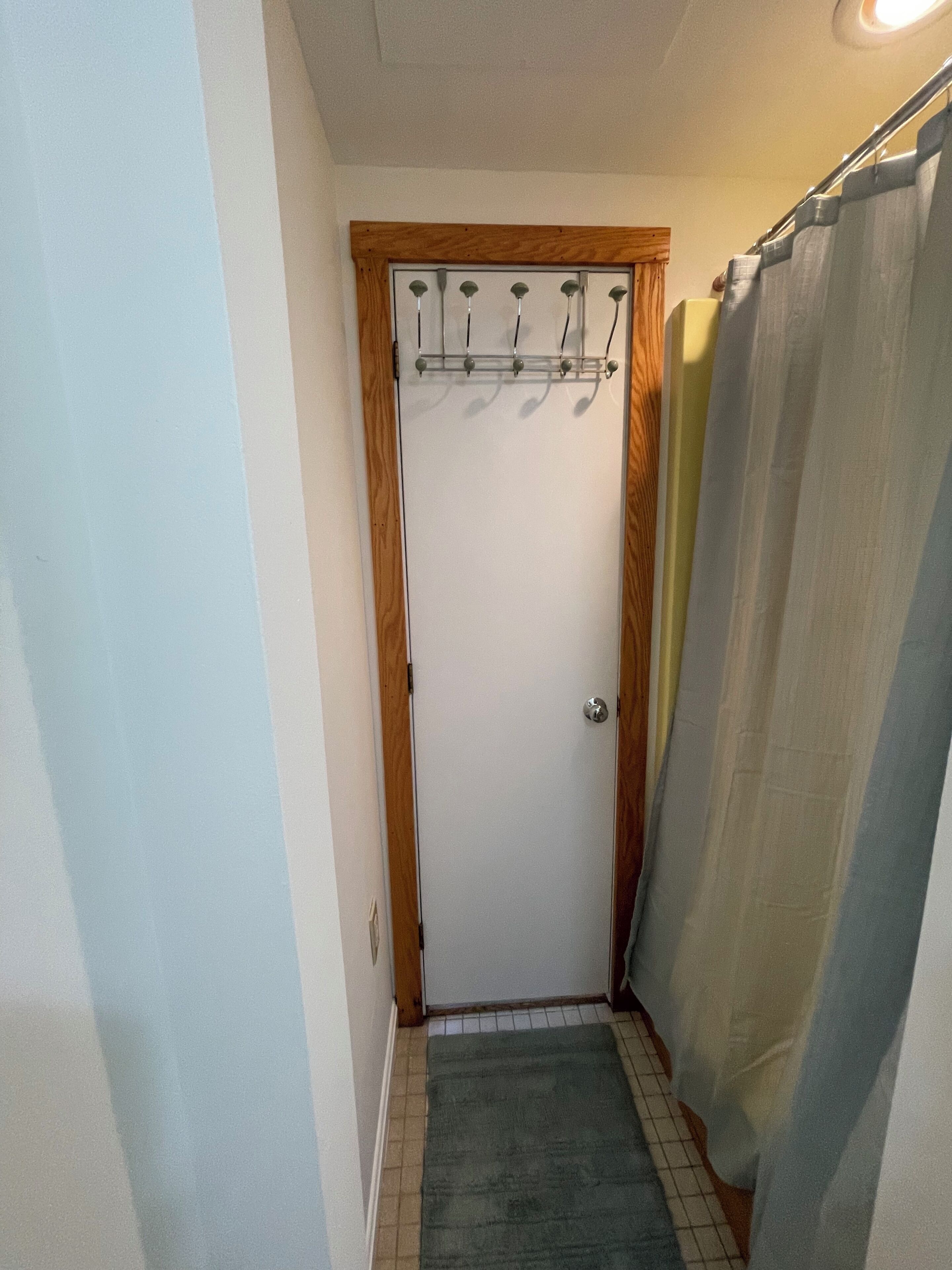 A narrow hallway with a door, a wooden door frame, a metal rack with hooks, a green rug, and a shower curtain.