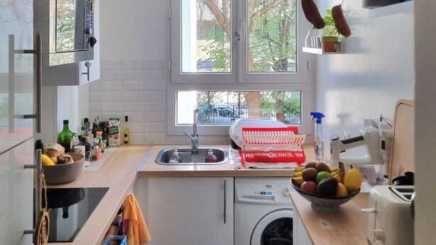 Une cuisine compacte équipée d’un lave-linge, d’un évier, d’un four à micro-ondes et d’une plante suspendue.