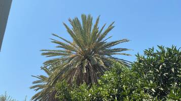 Standard-Studiosuite, Gartenblick | Unterkunftsgelände