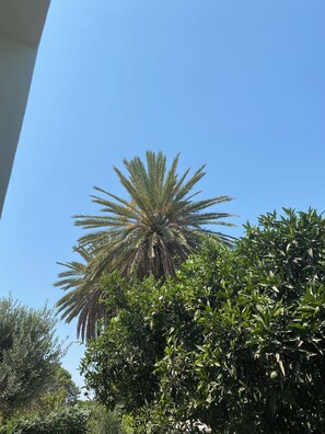 Standard Studio Suite, Garden View | Property grounds - Résidence Carmela (La Soukra)