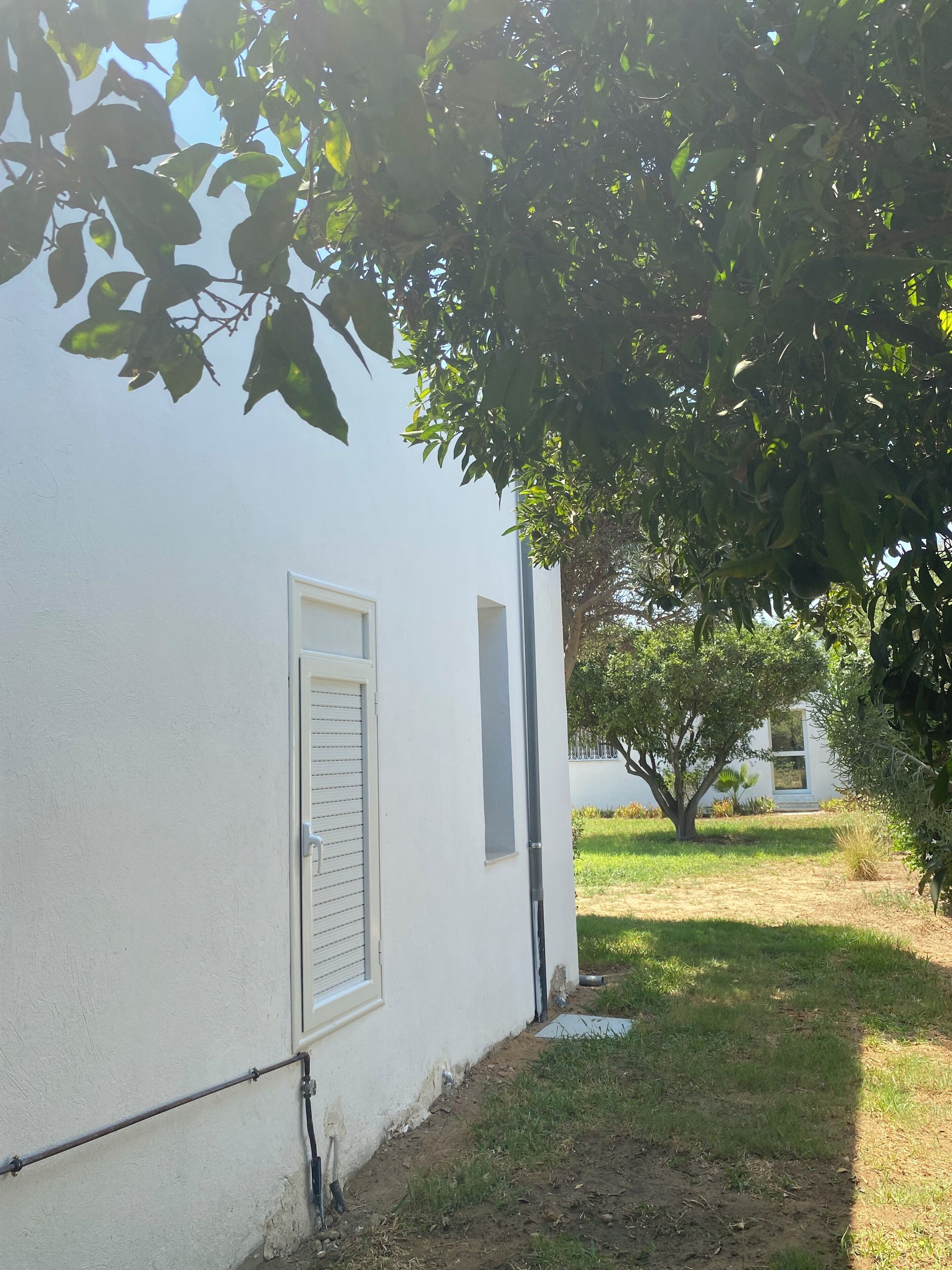 Studiosvit Standard - utsikt mot trädgården | Boendeområde