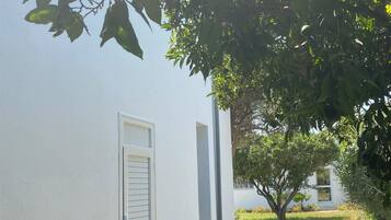 Studiosvit Standard - utsikt mot trädgården | Boendeområde