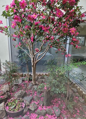 Hus - balkong - utsikt mot innergården | Utsikt från rummet