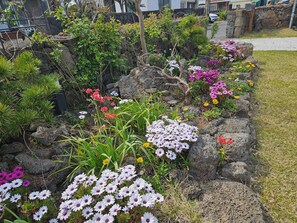 House, Balcony, Courtyard View | Garden view - Jeju irujhuje stay (Jeju City)