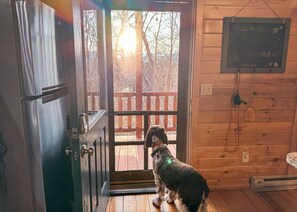 Interior - Secluded & Romantic Shenandoah Cabin · King Beds · Hot Tub · Fire Pit · L2 EV (Shenandoah)