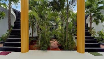 House | Property grounds