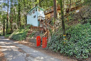 Property grounds - NEW! Forest Cabin | Russian River | Nature Retreat (Forestville)