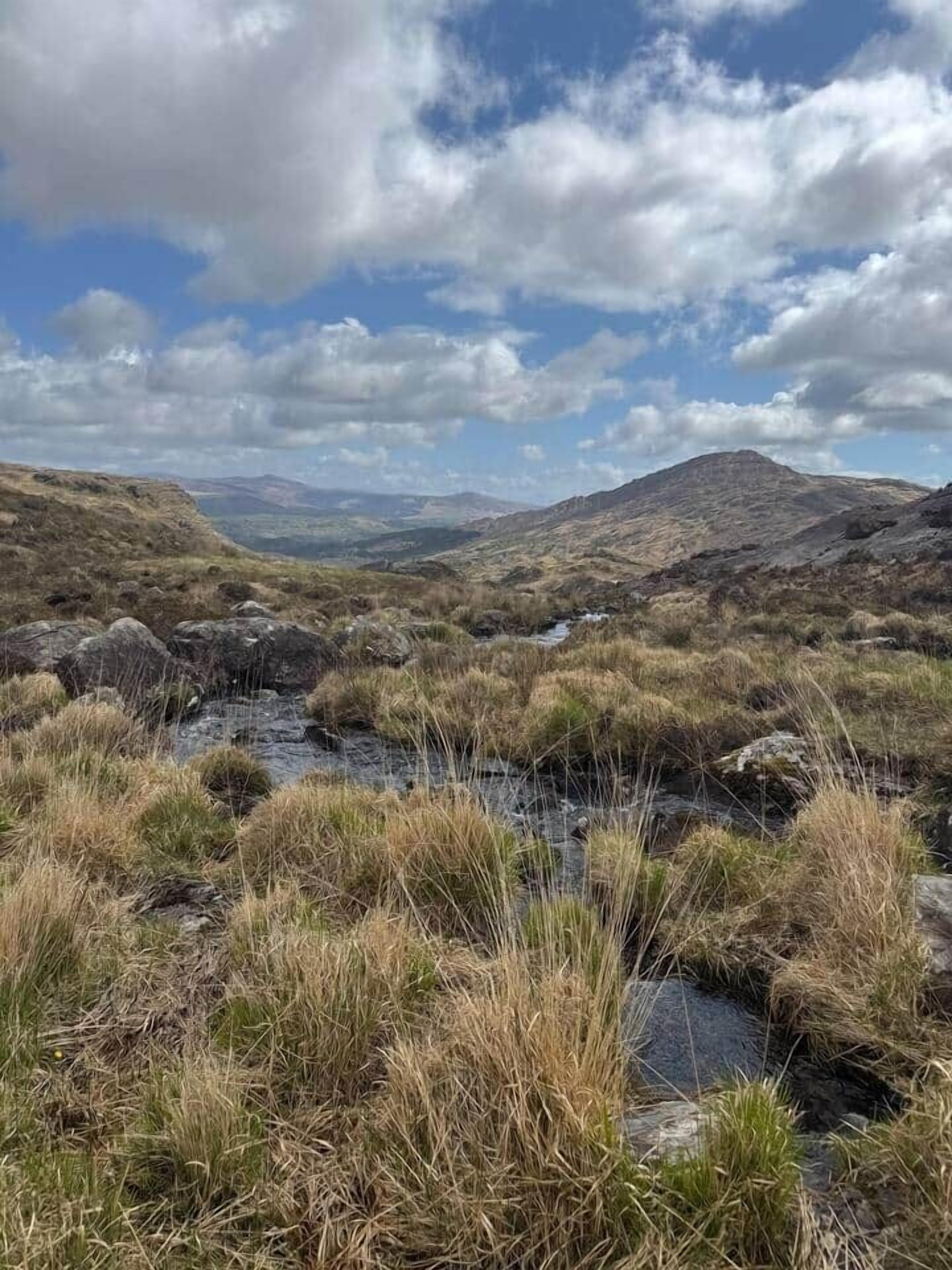 Un paisaje natural con un arroyo, terreno cubierto de hierba y colinas al fondo.