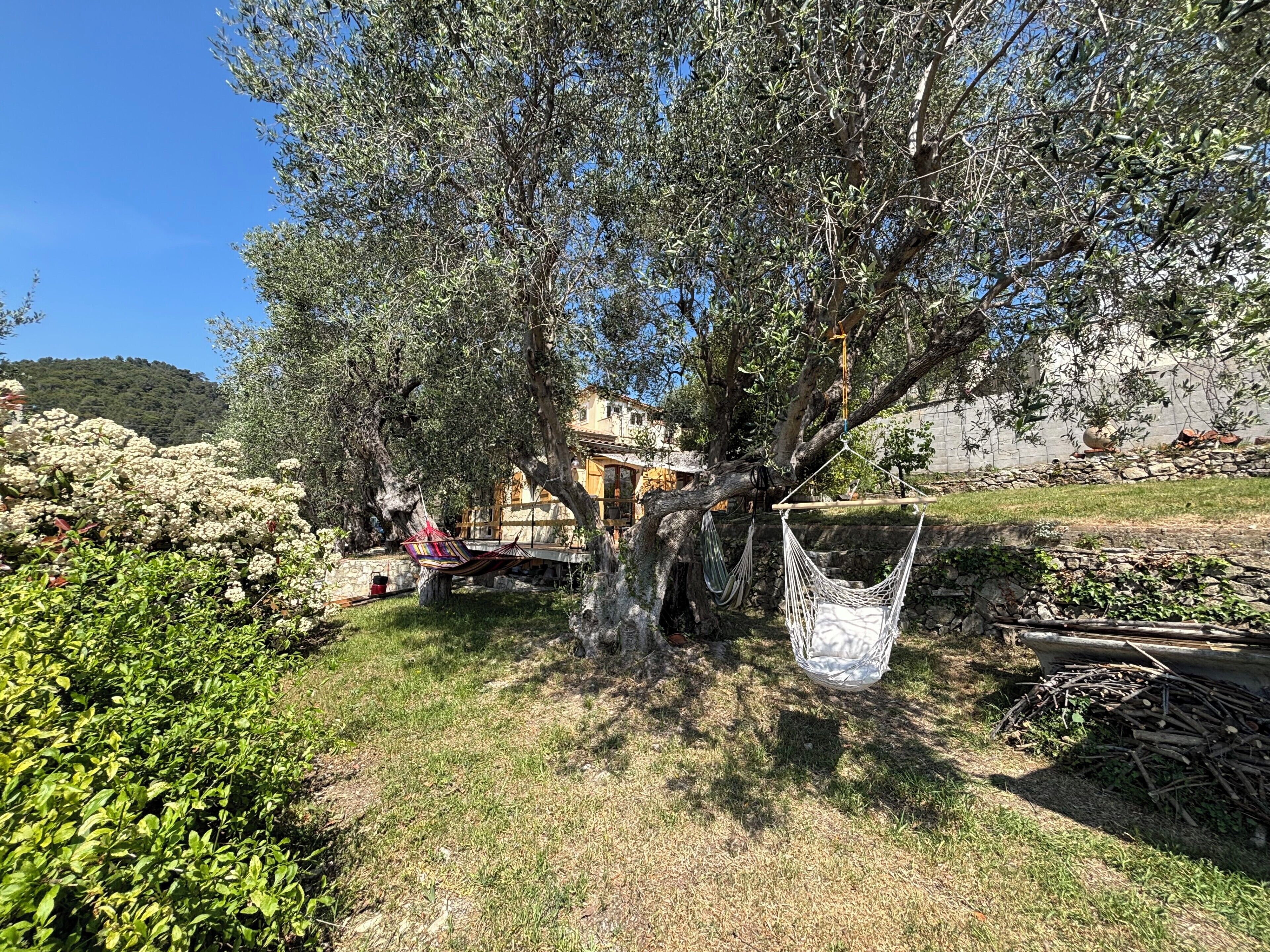 Un arbre avec un hamac, un mur de pierre et un bâtiment en arrière-plan.