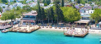 Orkide Bodrum