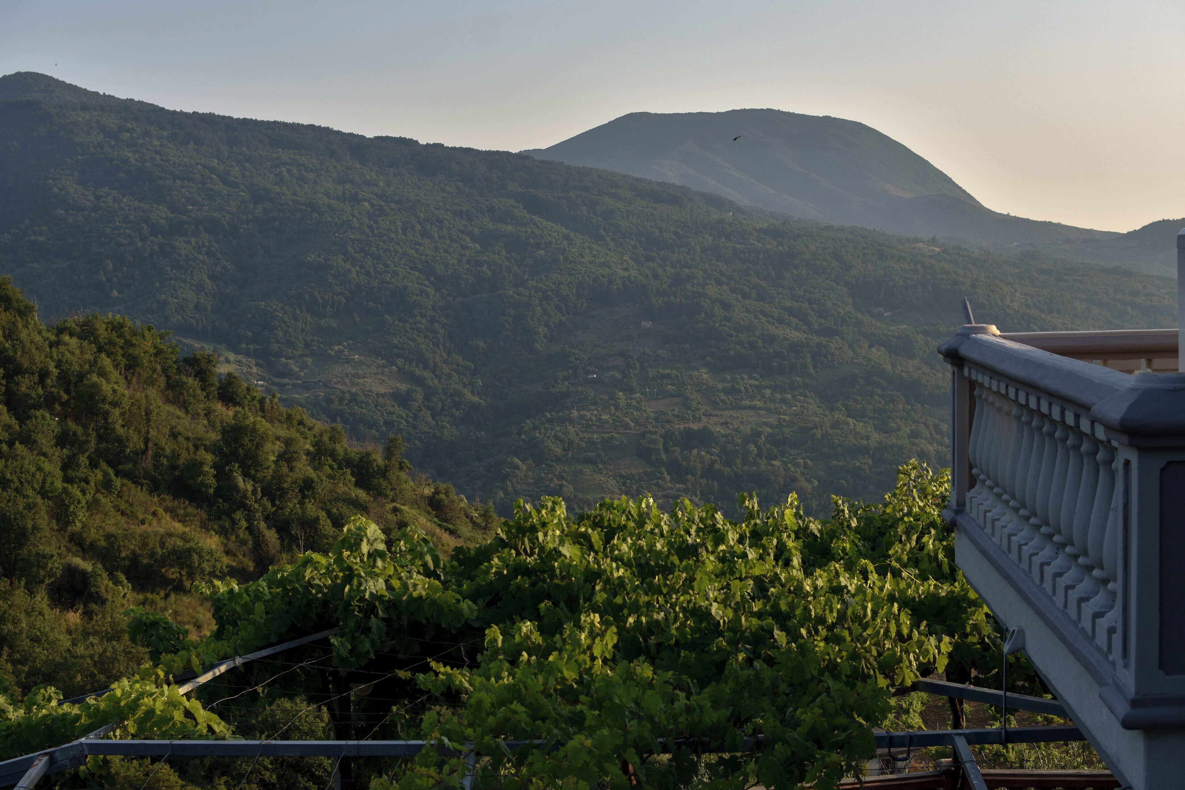 Eine gebirgige Landschaft, im Vordergrund Weinberge und ein Gebäude mit Balkon mit Blick auf die Aussicht.