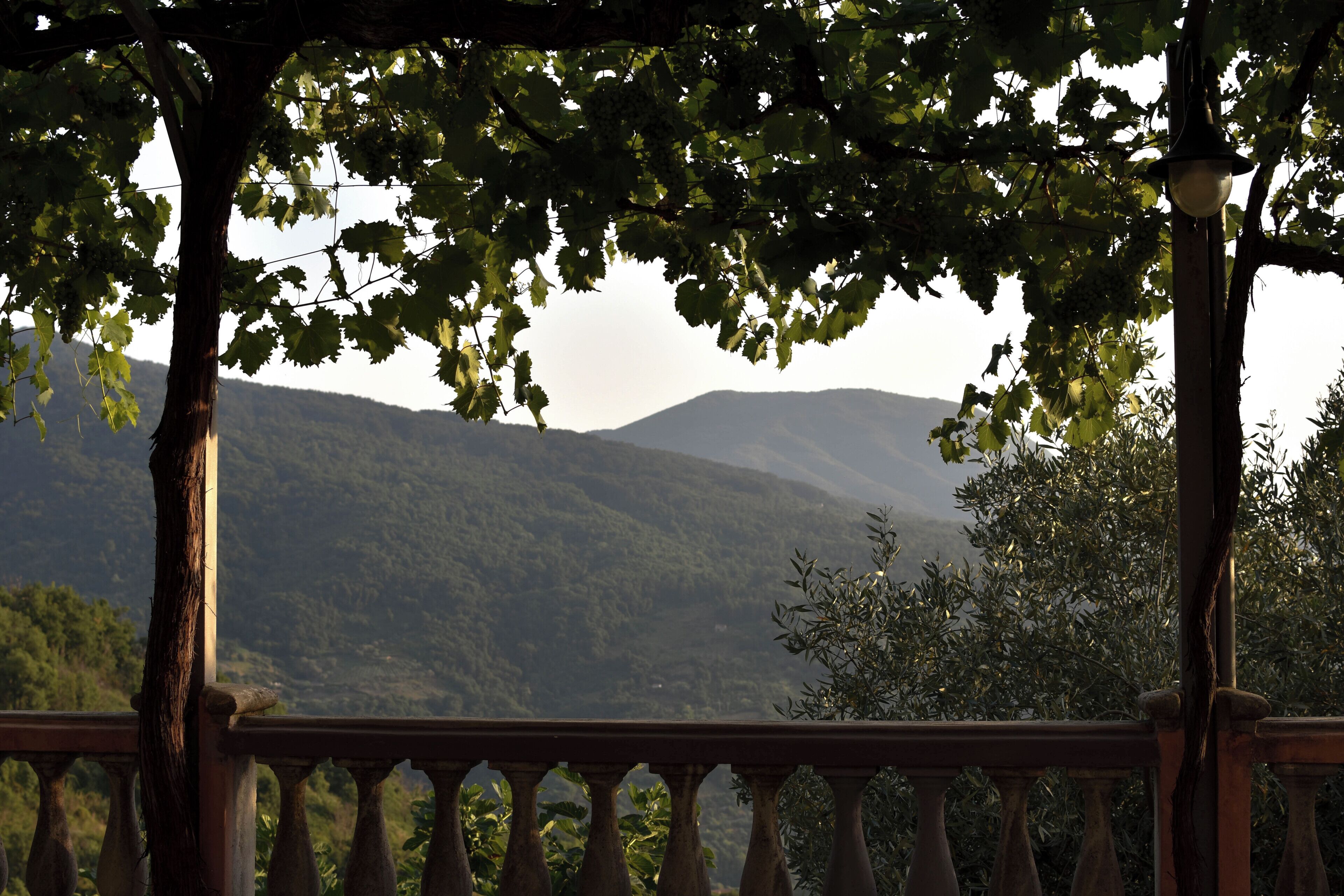 Un balcón con vistas a un paisaje montañoso.