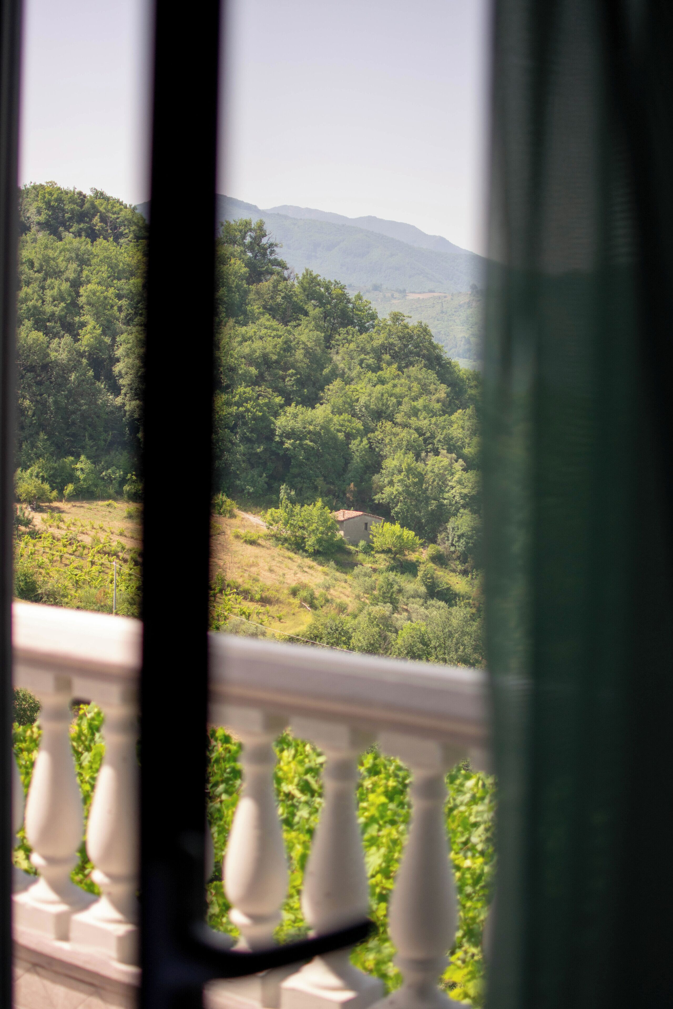 Un balcón con vista a un paisaje verde exuberante y montañas distantes.