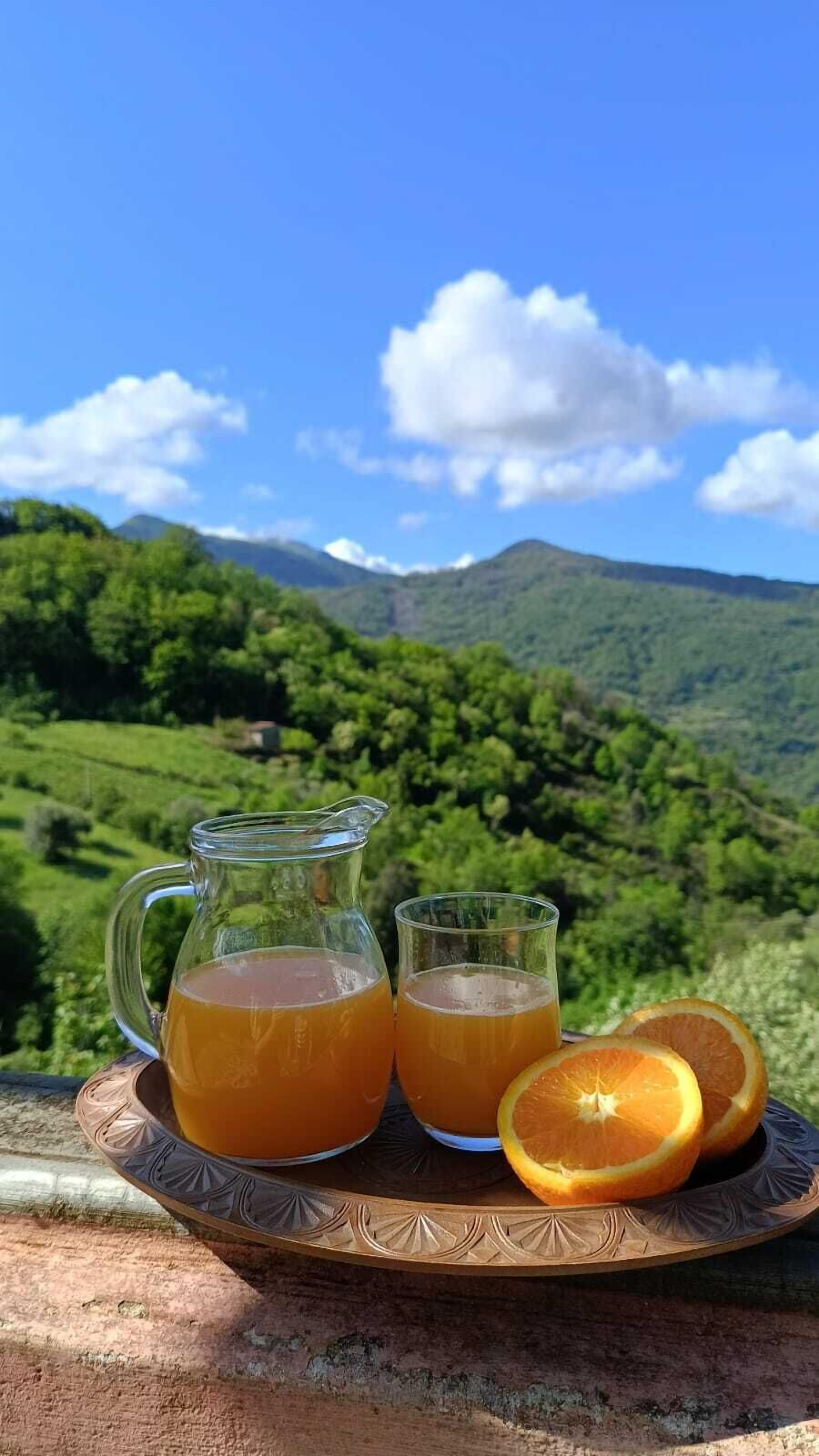 A scenic outdoor setting with a clear view of a lush green landscape and mountains in the background.