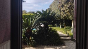 A pathway leading to a garden with palm trees and a stone wall.