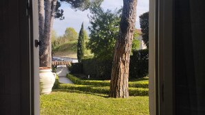 A view through an open door of a well-maintained garden with neatly trimmed hedges and a few trees.