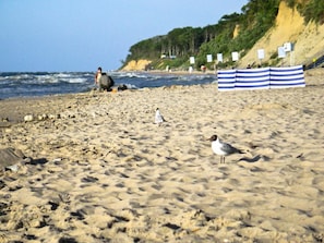 Uma praia arenosa com uma gaivota, um guarda-sol listrado e uma pessoa ao fundo.