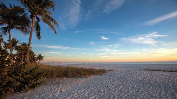 Een strand met zand, palmbomen en een heldere lucht.
