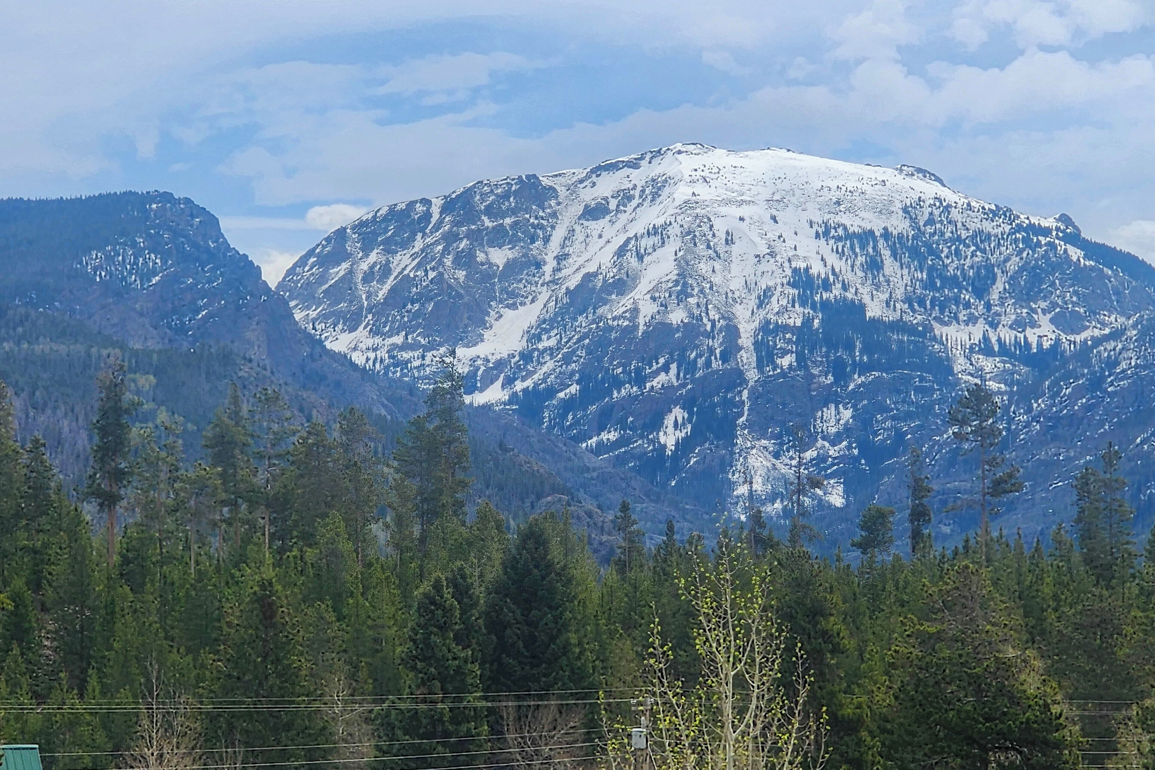 Een berglandschap met besneeuwde toppen en een dicht bos op de voorgrond.