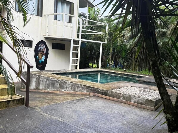 Une piscine avec une terrasse en béton, un escalier blanc et un palmier en arrière-plan.