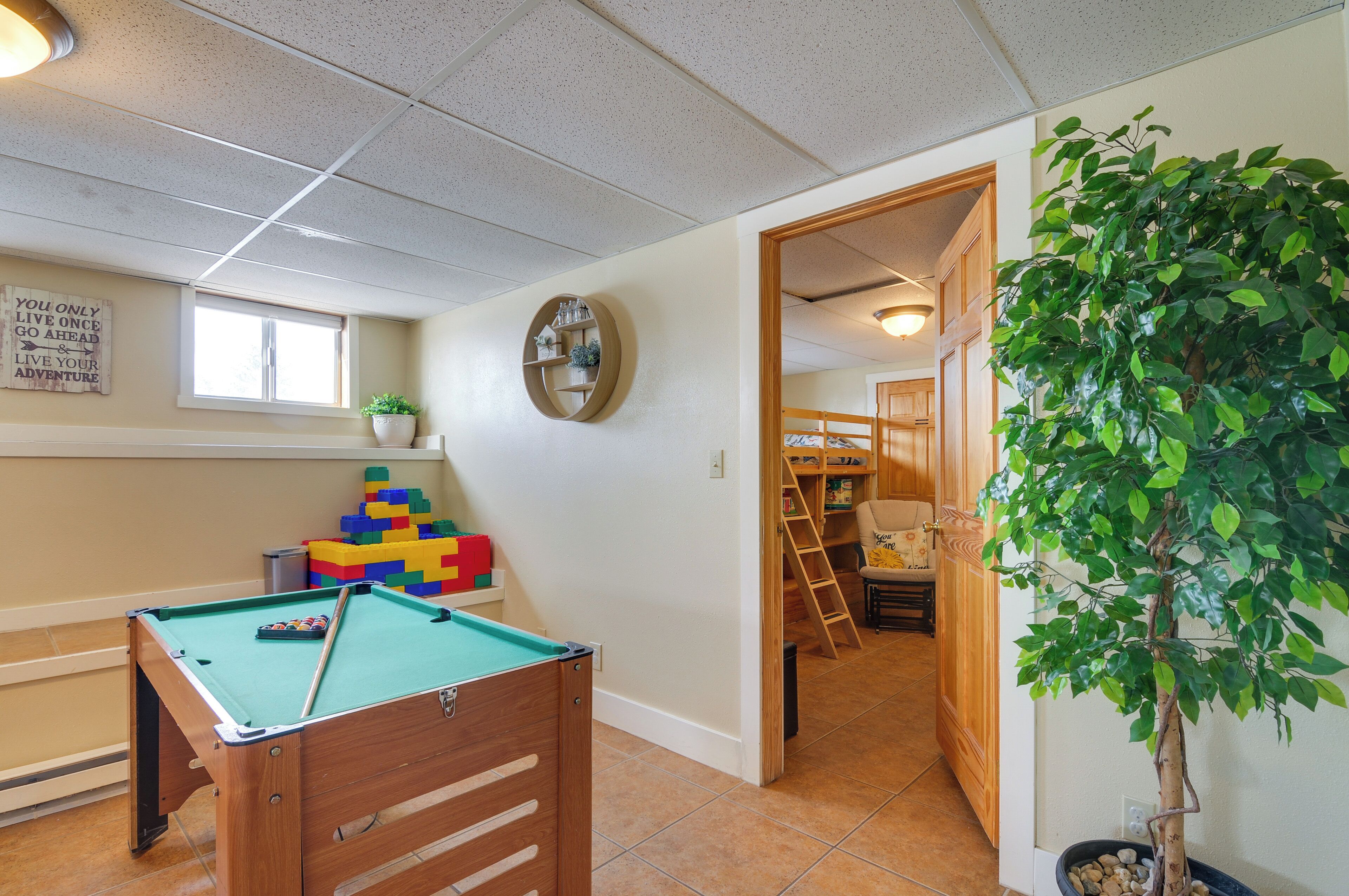 A pool table in a room with a window, a plant, and a wooden door leading to another room.