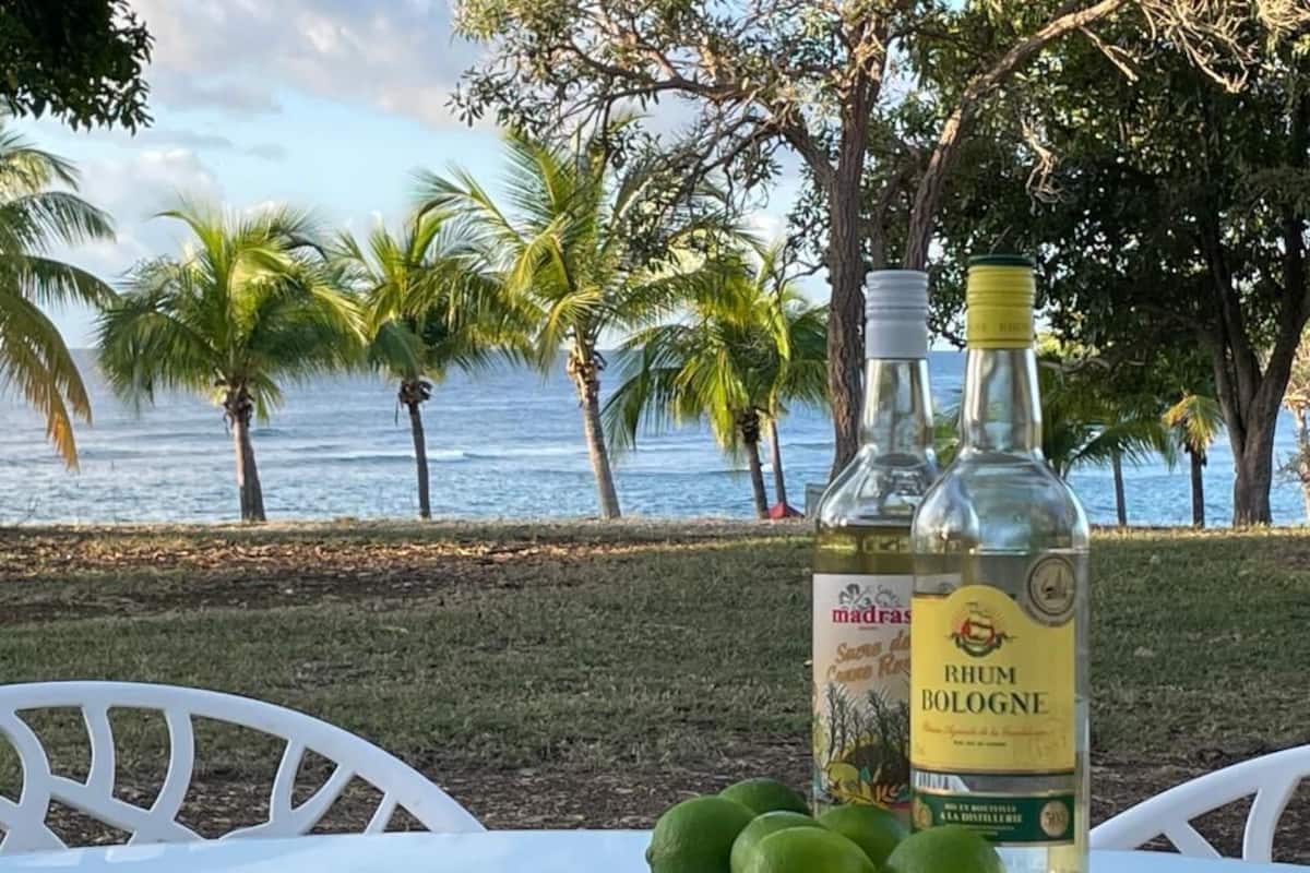 Eine Flasche Rum Bologne und Limetten auf einem Tisch mit Blick auf den Ozean und Palmen.