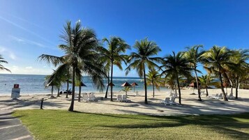 Appartement vue Plage et mer | Beach
